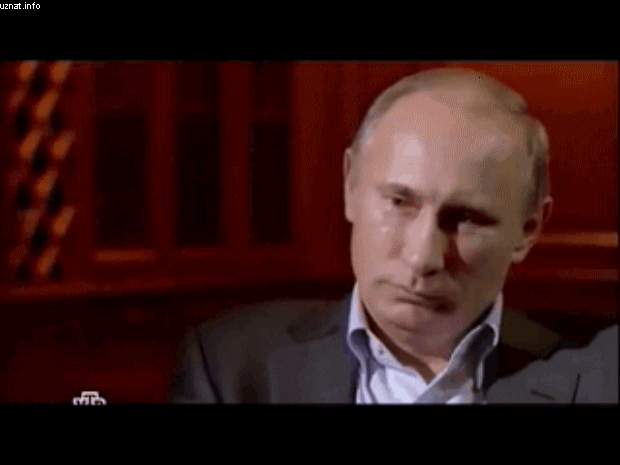 Путин в gif